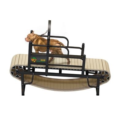 Quantitativi di carico 40 carico di sede 168 set Classic Slatmill Dog Training Tool for Dogs