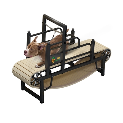 Quantitativi di carico 40 carico di sede 168 set Classic Slatmill Dog Training Tool for Dogs