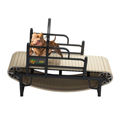 Tapis roulant domestico per cani mantenere il vostro animale in forma e sano con la nostra soluzione sostenibile