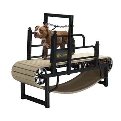 Tapis roulant domestico per cani mantenere il vostro animale in forma e sano con la nostra soluzione sostenibile