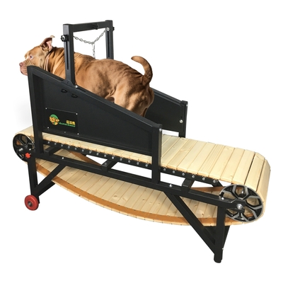 Cammino meccanico per cani per cani di grandi dimensioni Acceptabile OEM ODM Disegno delle ruote incluso