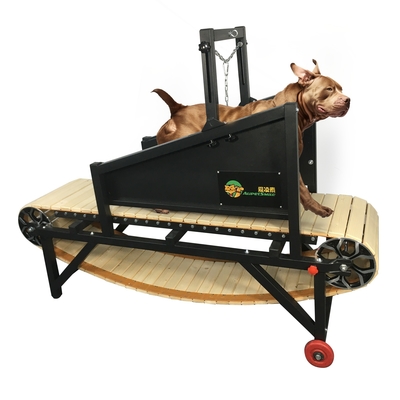 Cammino meccanico per cani per cani di grandi dimensioni Acceptabile OEM ODM Disegno delle ruote incluso
