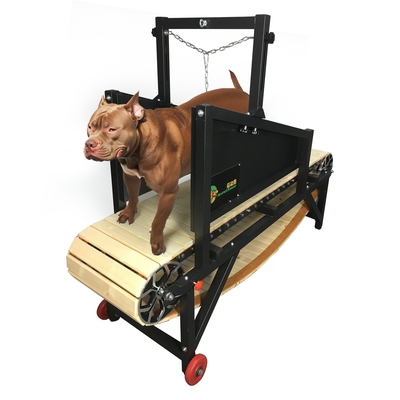 Massimizza le prestazioni del tuo cane