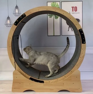Disegno da graffio per gatti per piccoli animali USA Mercato Fun Treadmill
