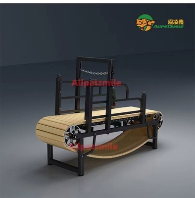 Slatmill di allenamento giornaliero per animali domestici per cani attivi e piccole razze Treadmill personalizzato per cani