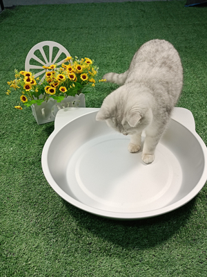 Fornitura diretta da parte dei produttori 38*38cm/45*45cm Nido frigorifero per gatti e cani