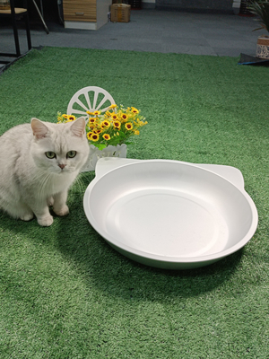 Fornitura diretta da parte dei produttori 38*38cm/45*45cm Nido frigorifero per gatti e cani