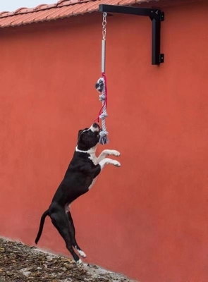 Pallone a molla per cani ad alto carico per l'addestramento per la spedizione verso il porto di Shanghai o Nanjing