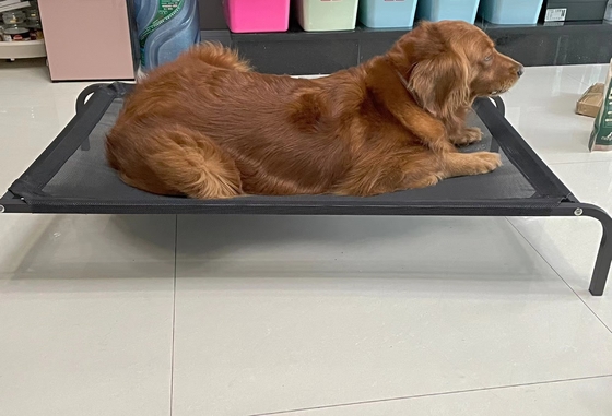 Letto elevato per cani rivestito in polvere con design traspirante e materiale impermeabile