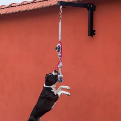 Set di stagno per cani di acciaio attrezzature per esercizi forti e durevoli per animali domestici
