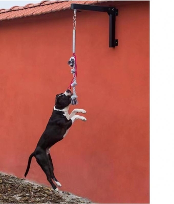 Pallone di molla di acciaio resistente per cani di medie e grandi dimensioni fino a 105 lbs/210 lbs costruito per durare