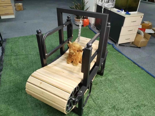 Macchina di allenamento personalizzata per cane senza motore