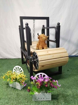 Macchina di allenamento personalizzata per cane senza motore