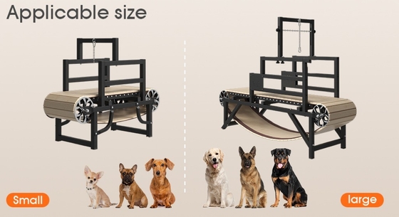 Fai muovere il tuo cane con il nostro tapis roulant in acciaio inossidabile senza bisogno di elettricità