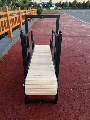 Treadmill professionale per l'addestramento degli animali domestici con certificato ISO9001 e dimensione 175cm*52cm*130cm