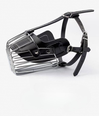 Treinamento per animali domestici Essential Solid Metal and Leather Dog Muzzle con decorazioni colorate