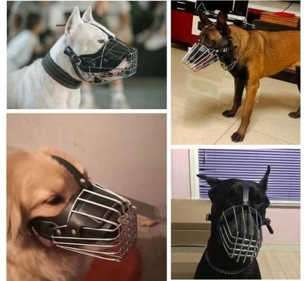 Treinamento per animali domestici Essential Solid Metal and Leather Dog Muzzle con decorazioni colorate