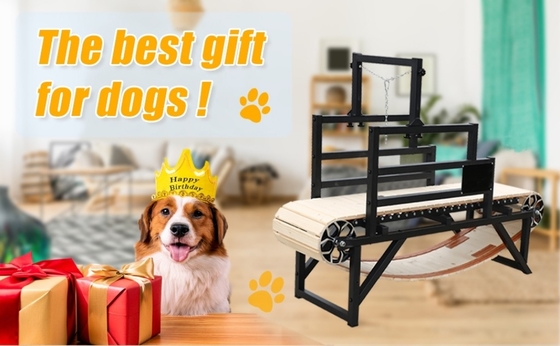 Alipetsmile Versione 2.0 Treadmill per cani di legno che porta il fitness canino al livello successivo