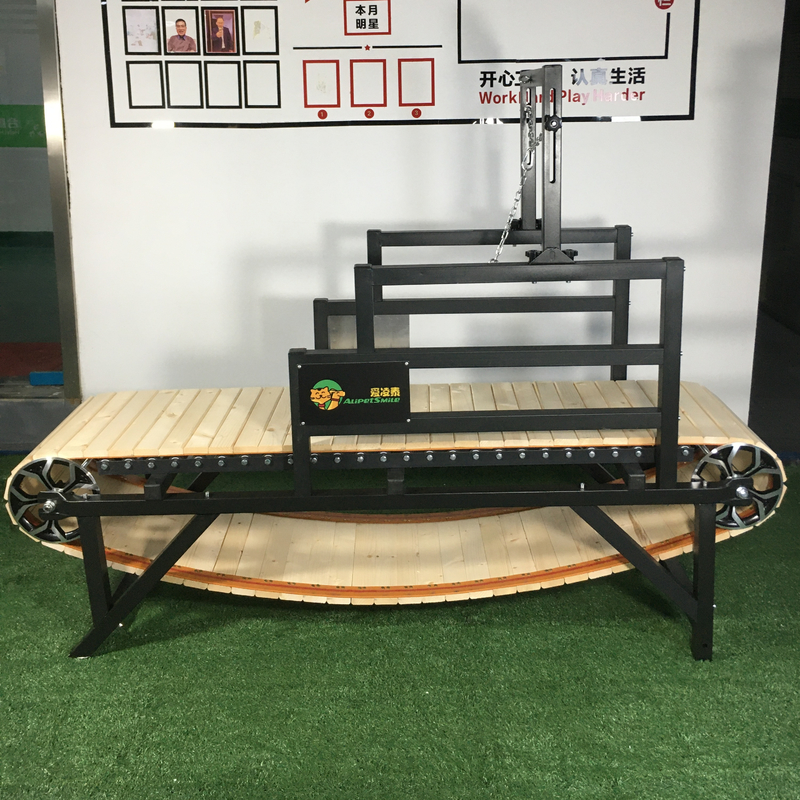 Rivestimento in polvere Alipetsmile versione 2.0 Tapis roulant per cani domestici adatto all'addestramento dei cani