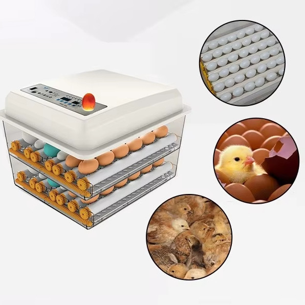 20 GP carico 70 set incubatore di uova di gallina completamente automatico per l'allevamento di pollame