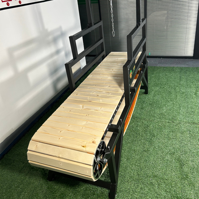 Treadmill per animali domestici a prezzi accessibili e sostenibili 3.0 per cani grandi Animali piccoli Amichevole