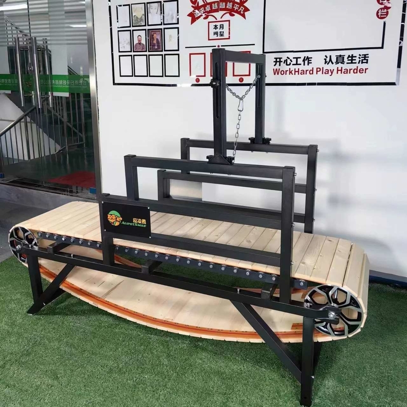 1 Kilowatt Maggiore potenza di cavallo Treadmill per animali da compagnia