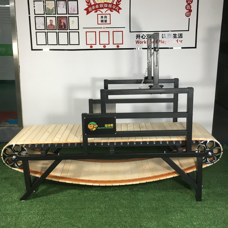 Tapis roulant per cani di taglia personalizzata ideale per l'addestramento e l'esercizio dei cani