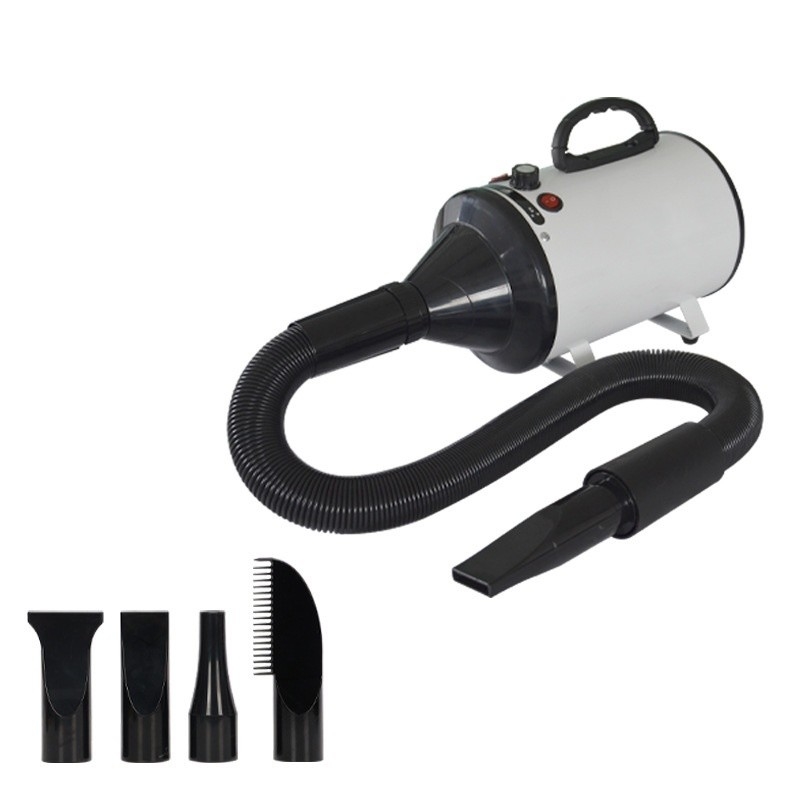 Alta potenza 2100W aspiratore a soffio doppio motore asciugacapelli per cani OEM ODM accettabile