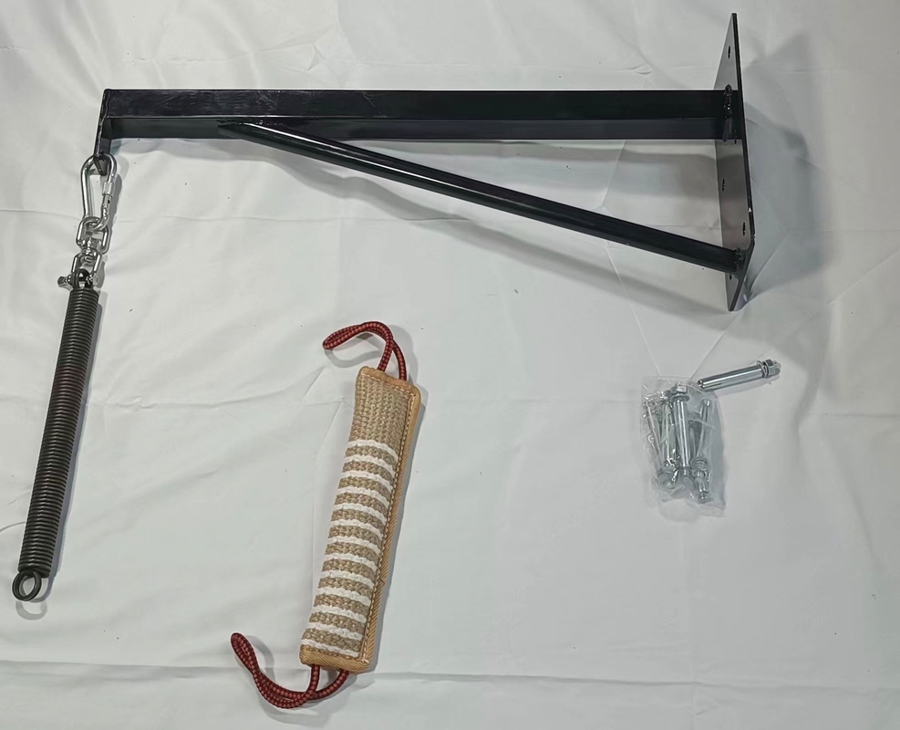 Pallone di molla per pesanti carichi da Shanghai o dal porto di Nanchino