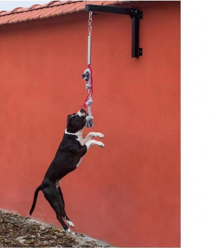 Pallone di molla di acciaio resistente per cani di medie e grandi dimensioni fino a 105 lbs/210 lbs costruito per durare