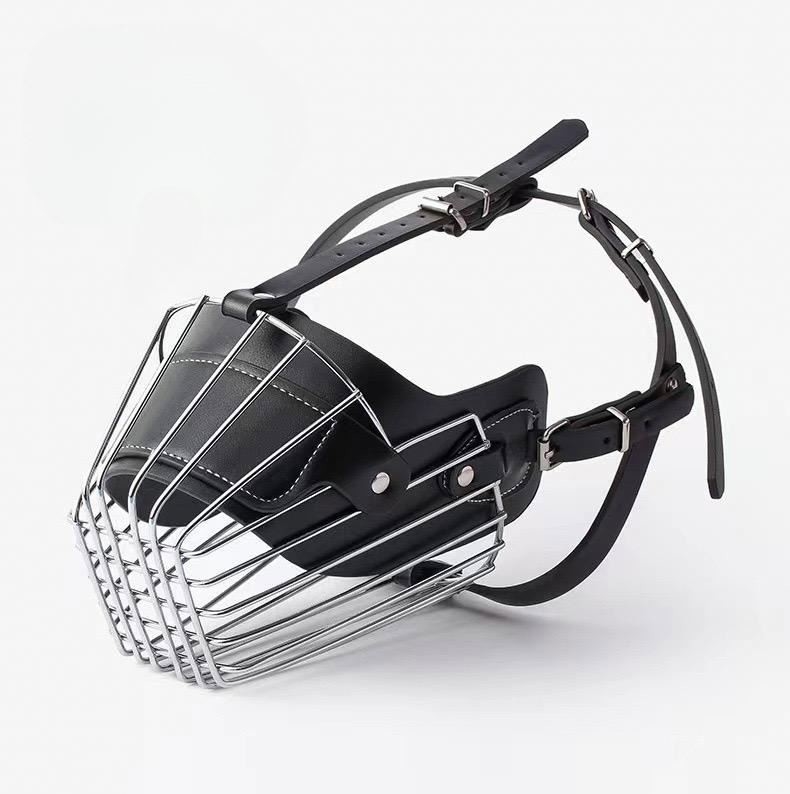 Treinamento per animali domestici Essential Solid Metal and Leather Dog Muzzle con decorazioni colorate